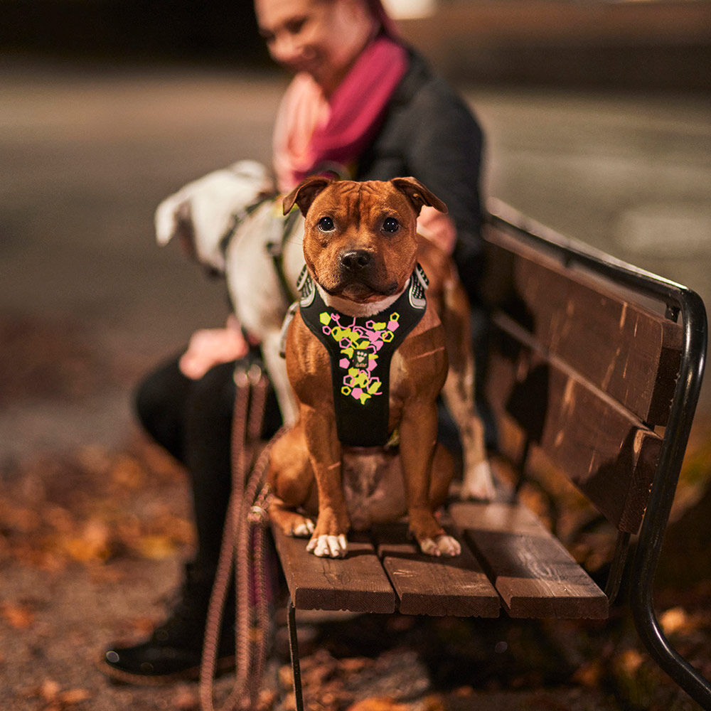HURTTA Weekend Warrior Neon Hundegeschirr II
