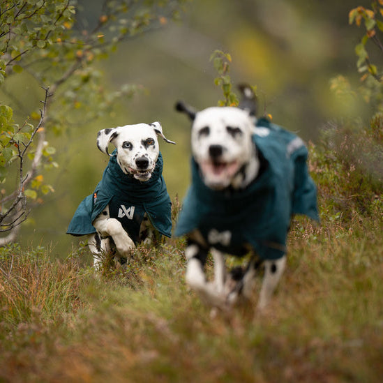 NON-STOP DOGWEAR Regenmantel Fjord Lined Raincoat
