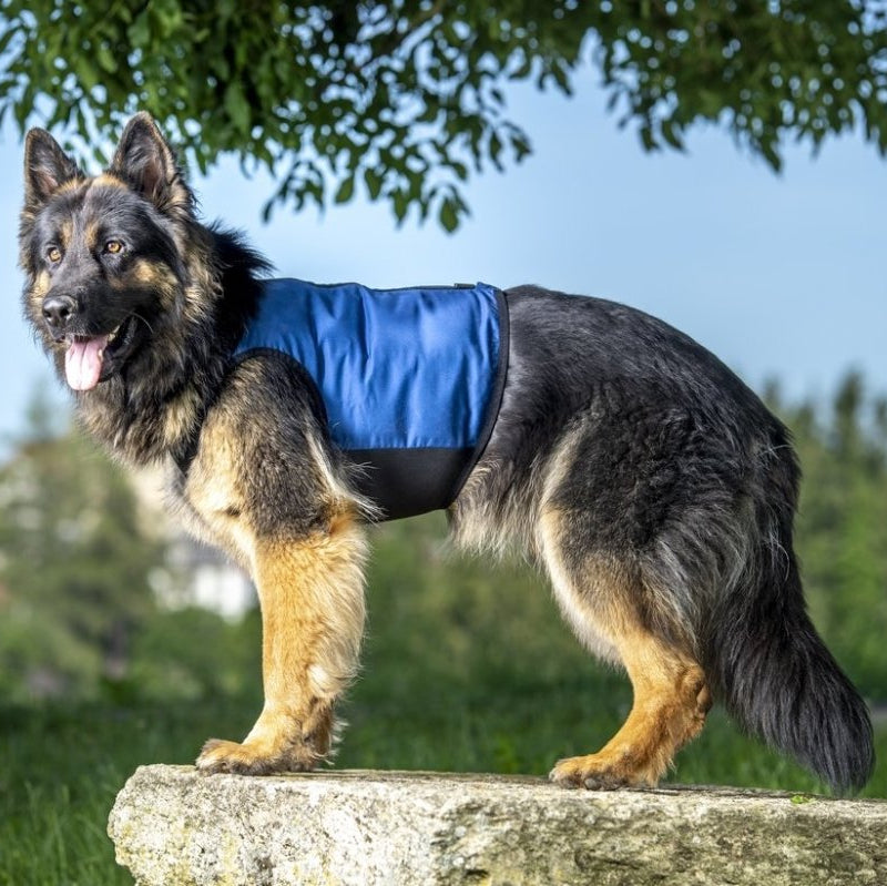 CANI.COOL Kühlweste PRO - Konstante Abkühlung