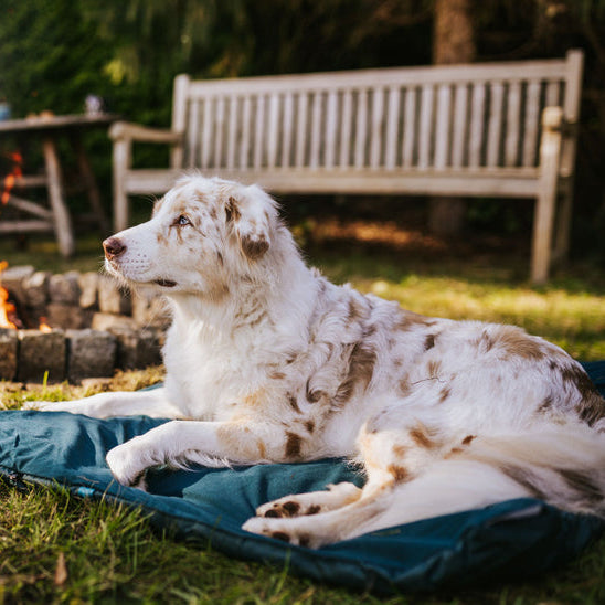 NON-STOP DOGWEAR Campingmatte Trekking Dog Bed