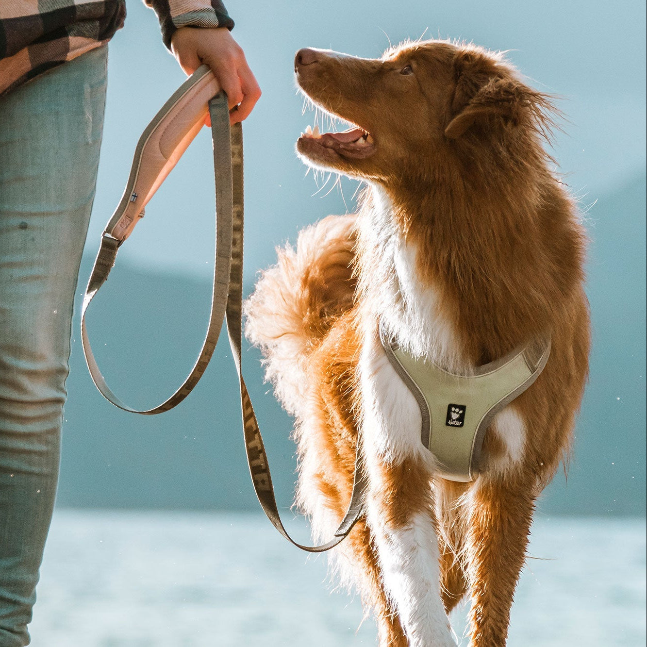 HURTTA Venture Geschirr