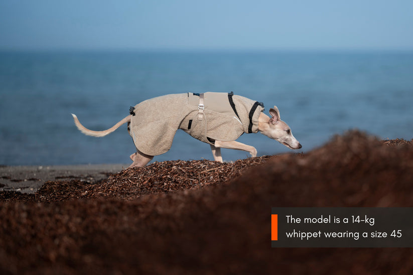 NON-STOP DOGWEAR Hundejacke Wool Jacket