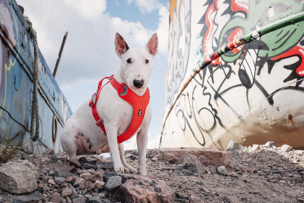 HURTTA Weekend Warrior Geschirr