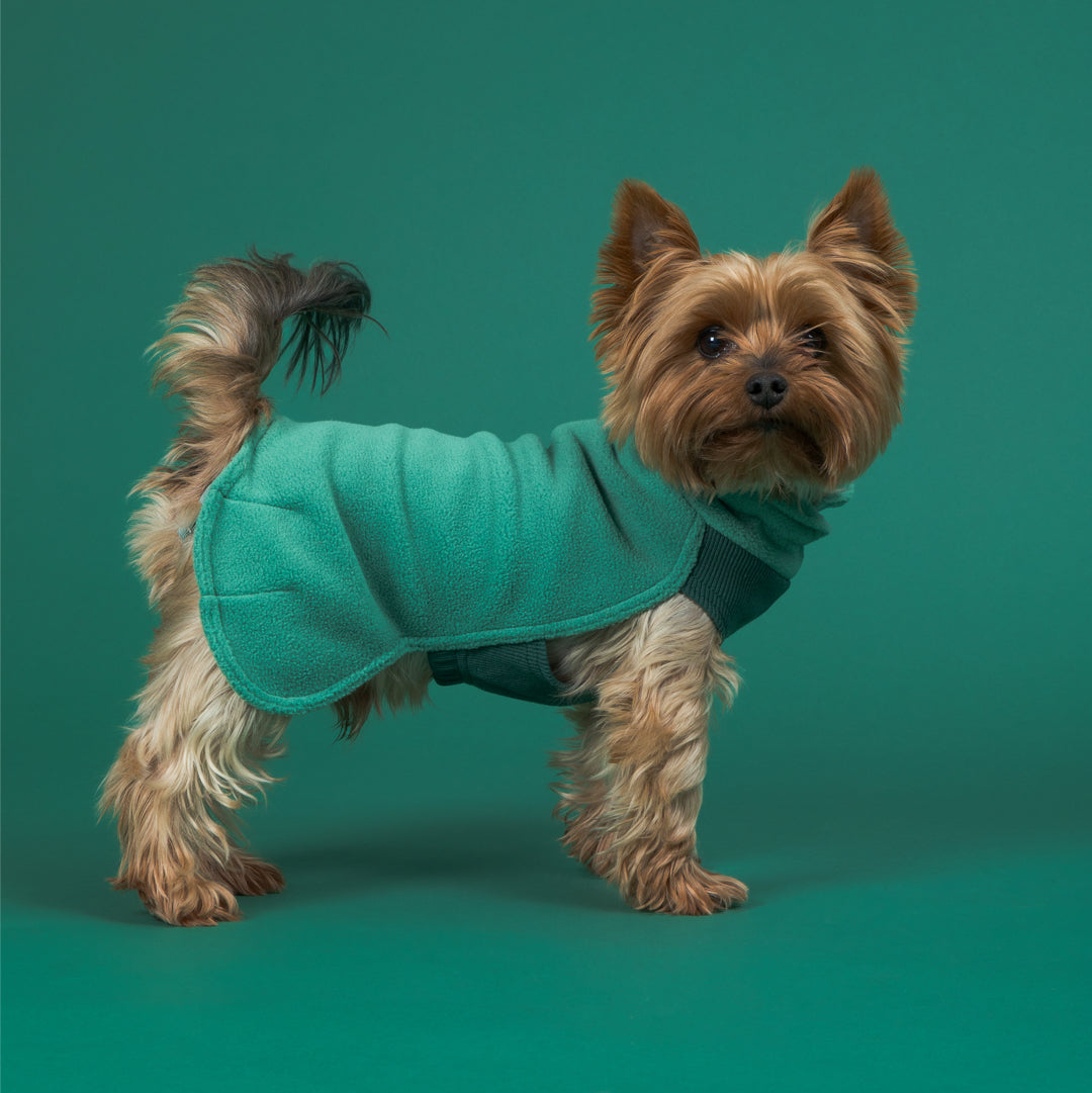 PAIKKA Hunde Pullover 