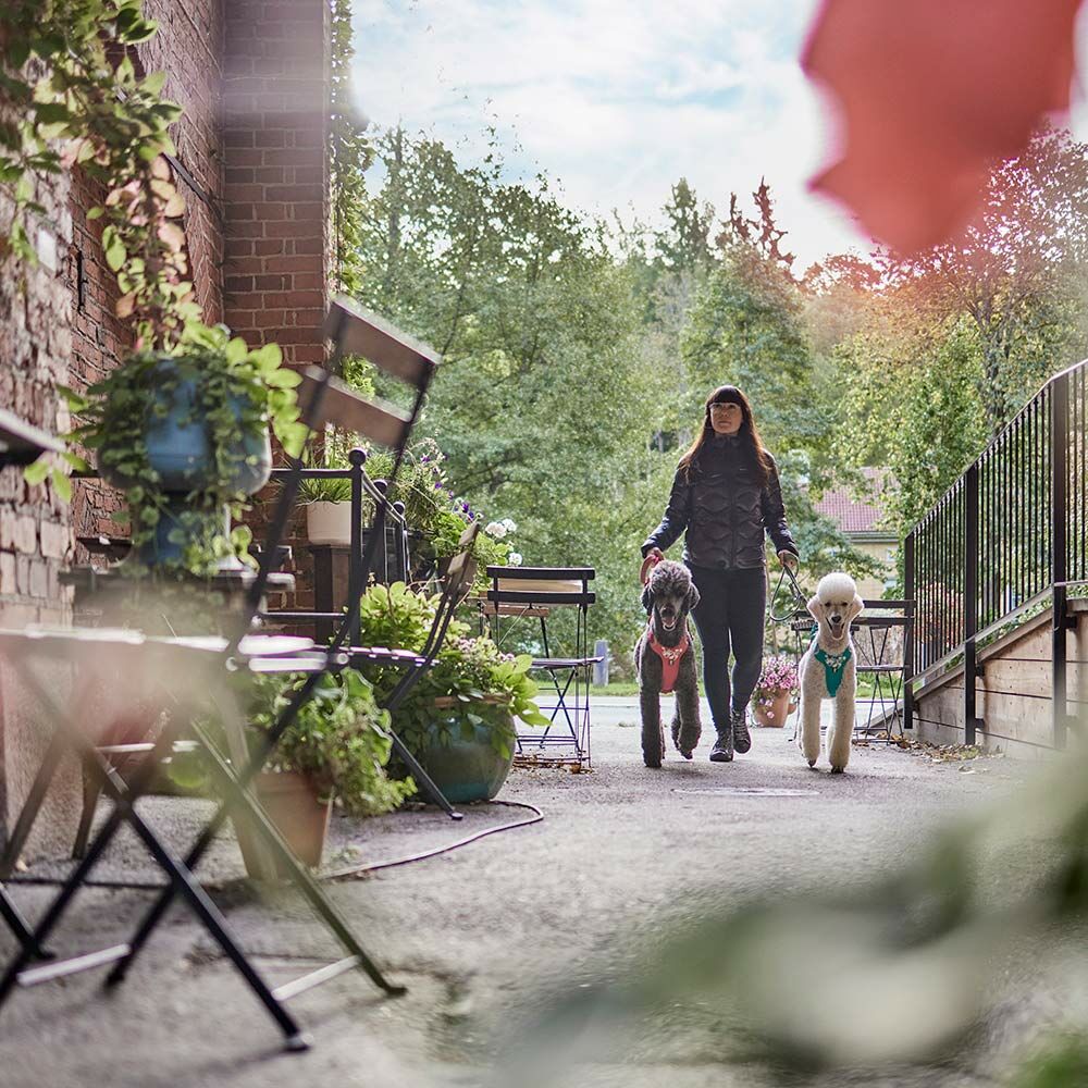 HURTTA Verstellbare Seilleine ECO