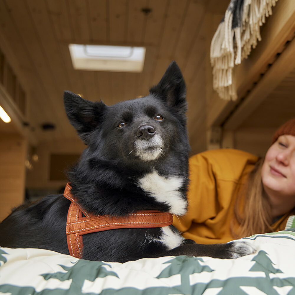 HURTTA Casual Norweger Geschirr