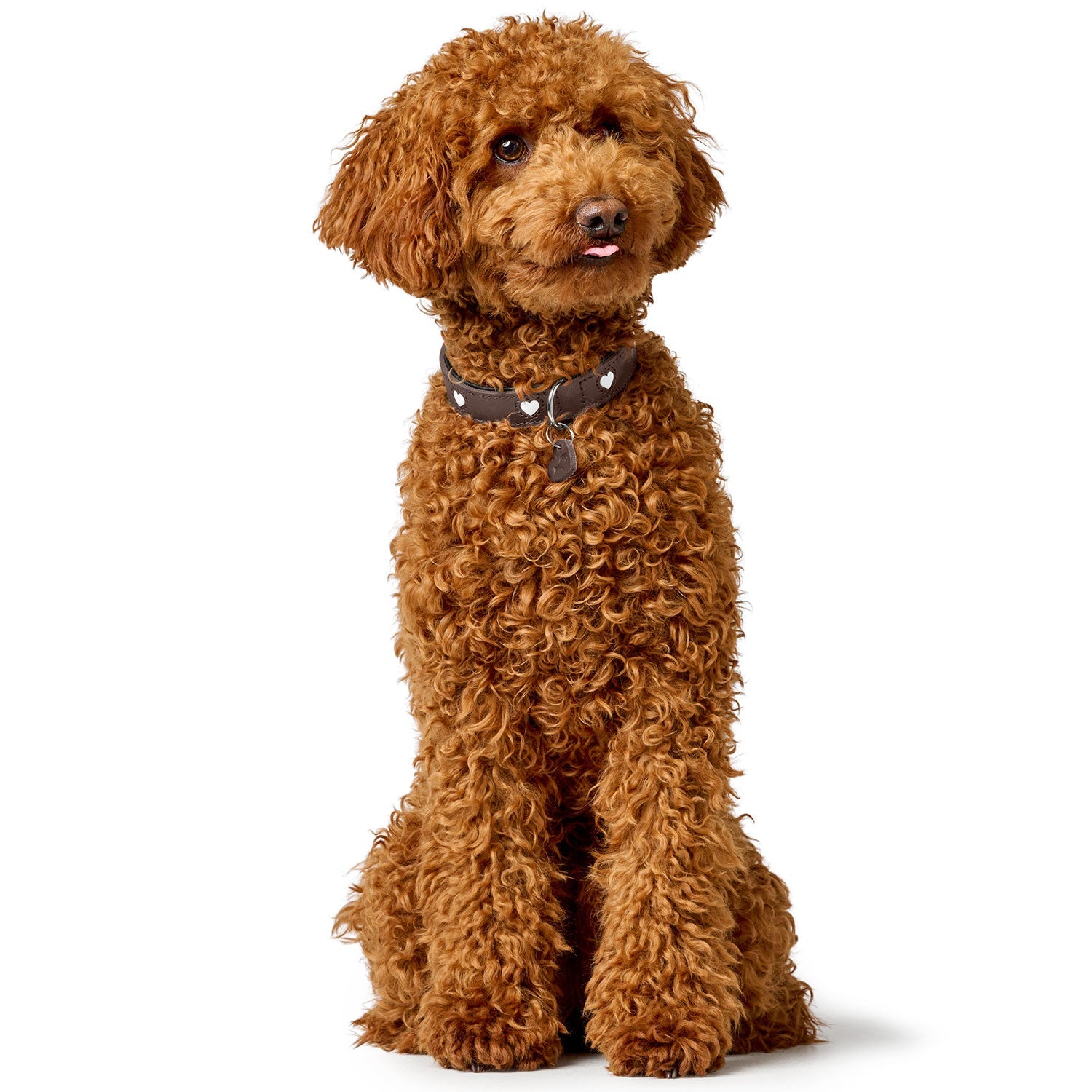 HUNTER Halsband Love