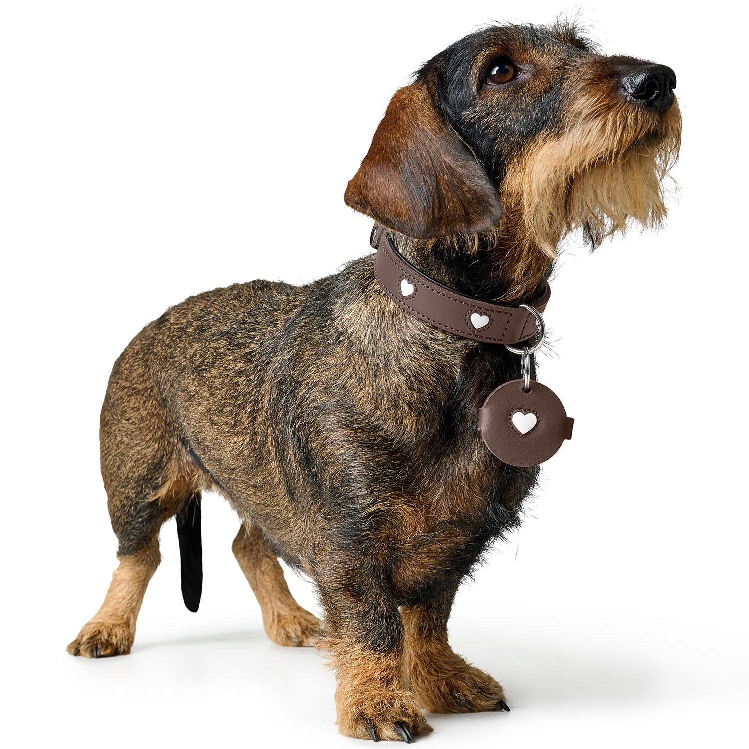 HUNTER Anhänger Hundemarken-Etui Love