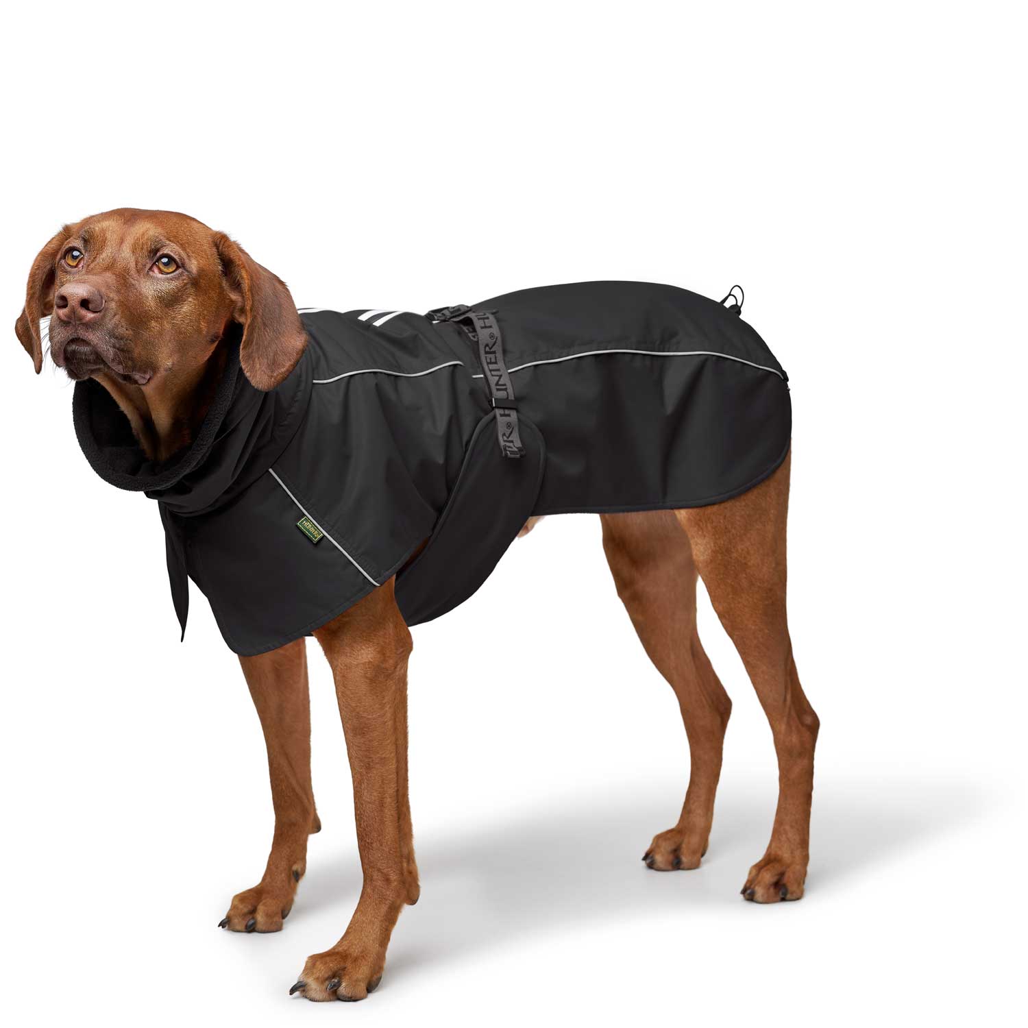 HUNTER Hundemantel Nordby