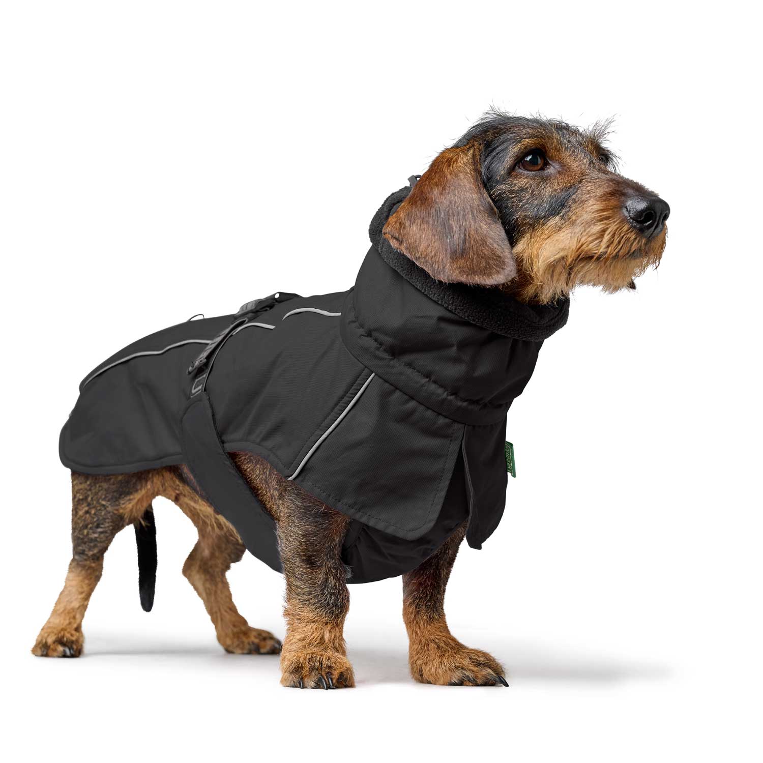 HUNTER Hundemantel Nordby Dachshund