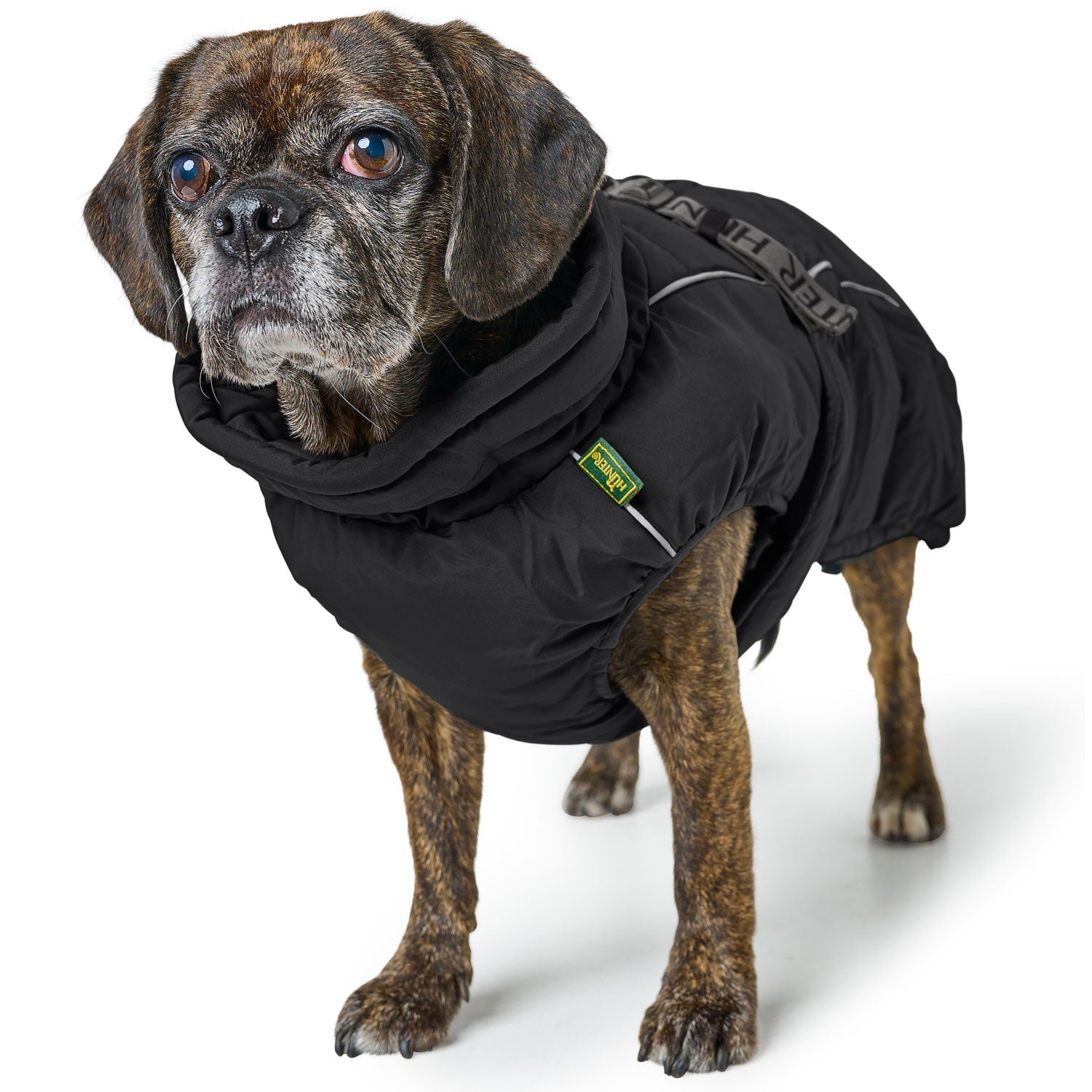 HUNTER Hundemantel Paxson Mops & Co.