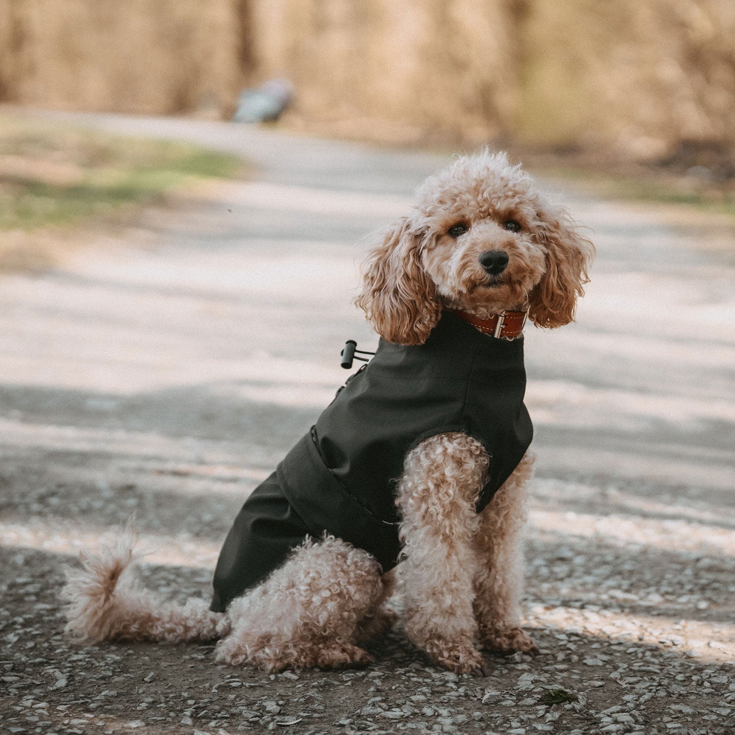 HUNTER Hunde-Regenmantel Milford