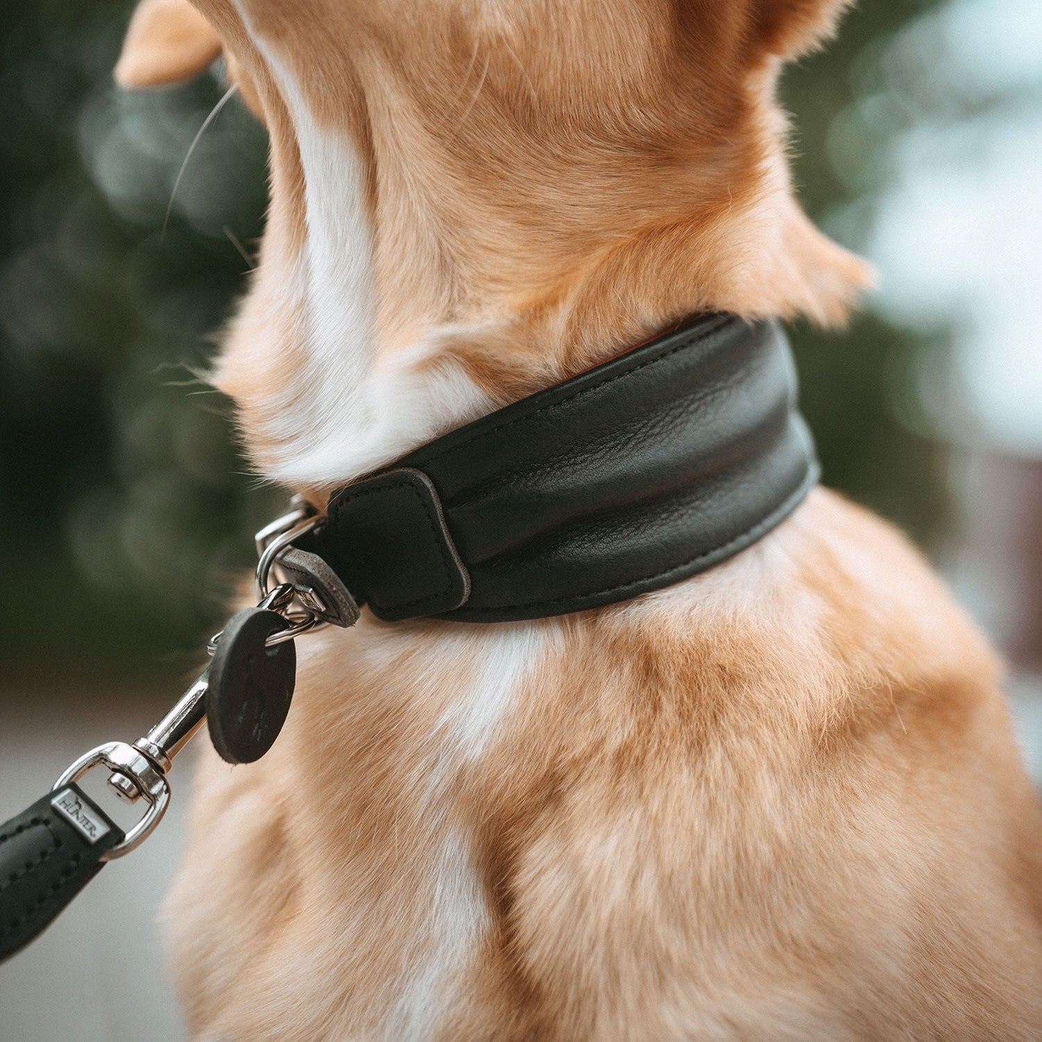 HUNTER Ergonomisches Halsband Arvika