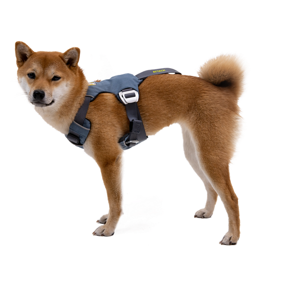 RUFFWEAR Hundegeschirr Load Up™ Harness