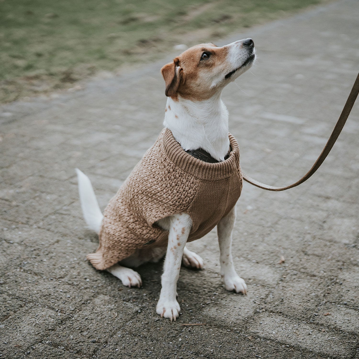 HUNTER Hundepullover Malmö