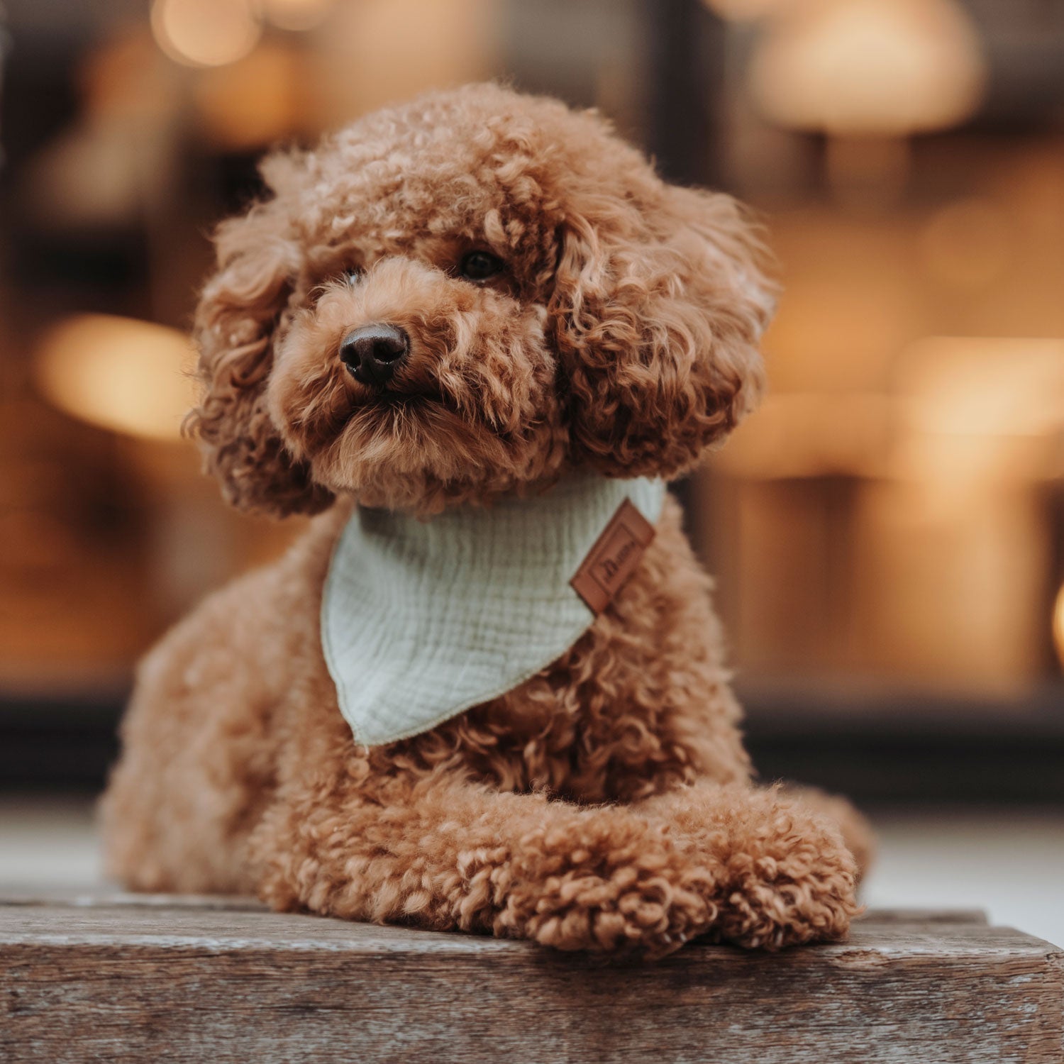 HUNTER Dreieckstuch Nola