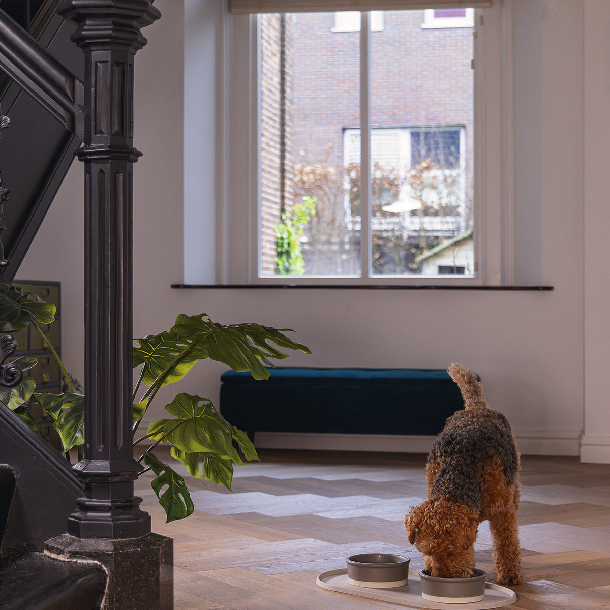 DESIGNED BY LOTTE Napfunterlage Oona  aus Silikon