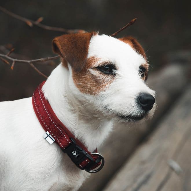 HURTTA Casual Halsband