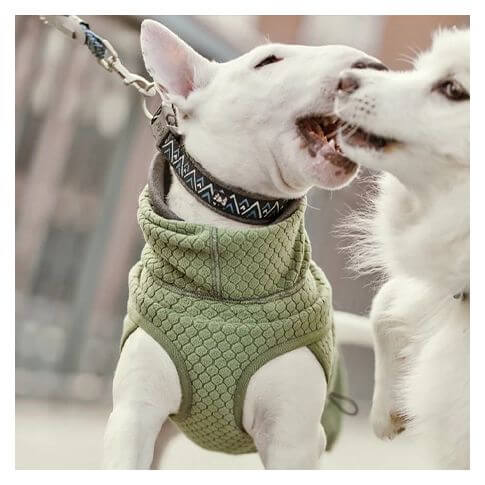 HURTTA Razzle-Dazzle Halsband