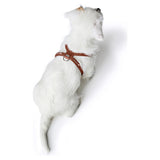 HUNTER Geschirr Round & Soft Canadian Up