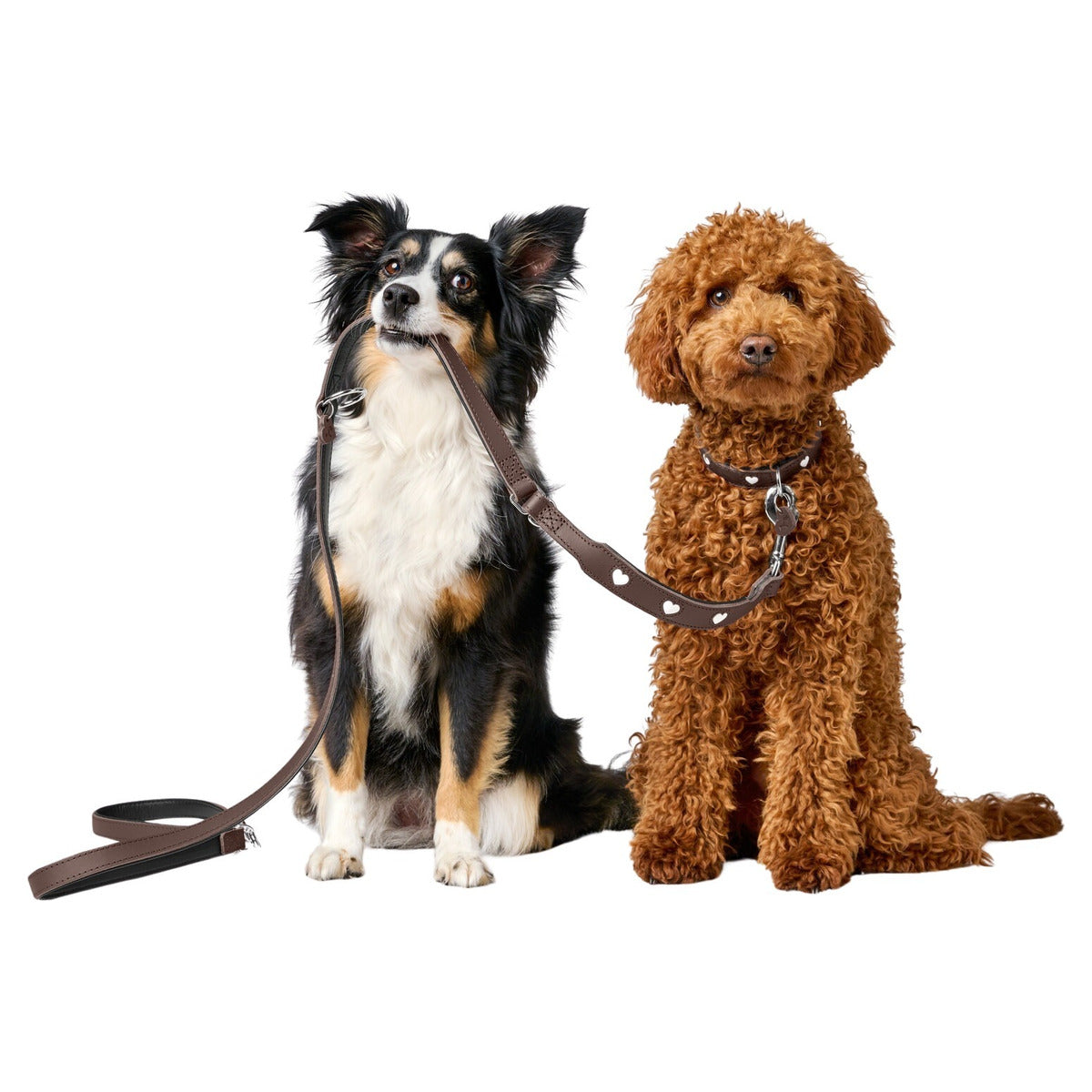 HUNTER Halsband Love