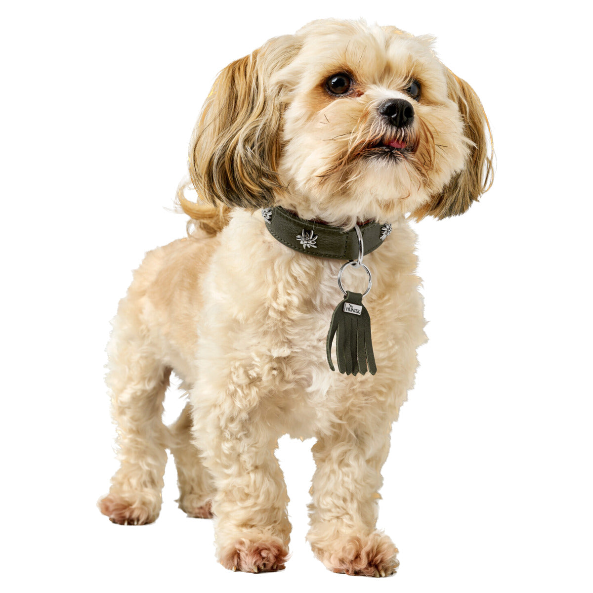 HUNTER Halsband München