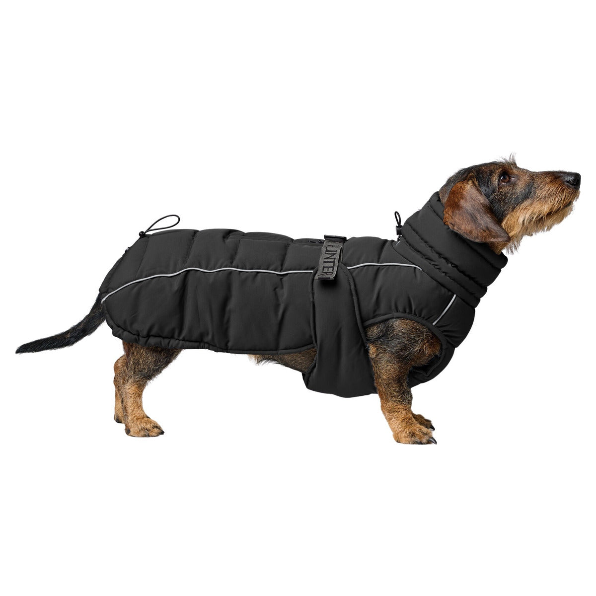 HUNTER Hundemantel Paxson Dachshund