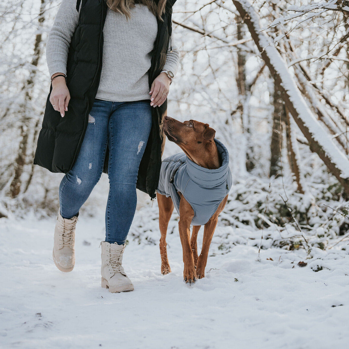 HUNTER Hundemantel Paxson