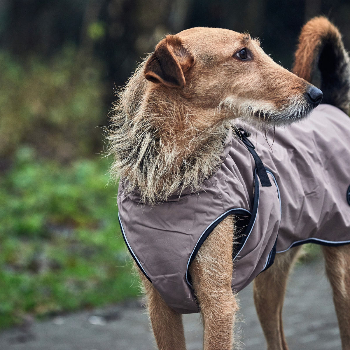 HUNTER Hundemantel Uppsala