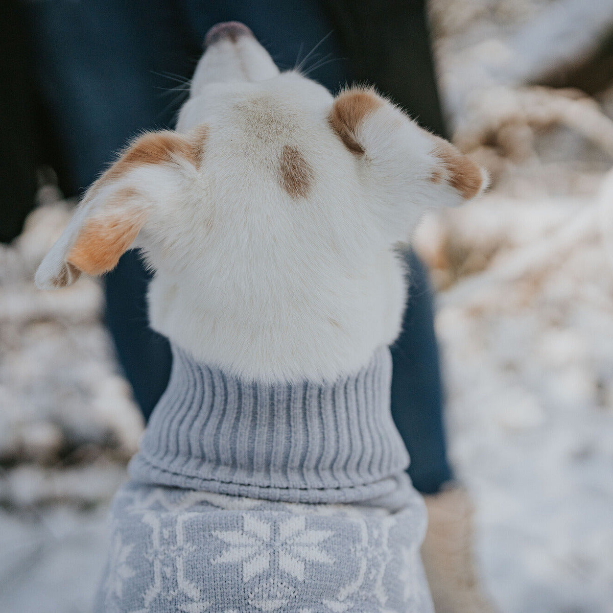 HUNTER Hundepullover Birka