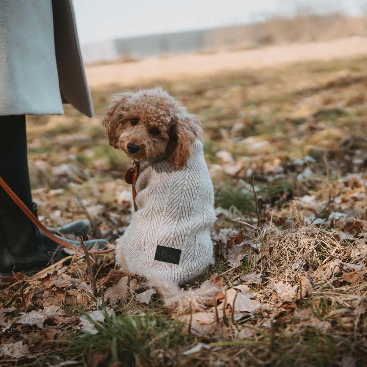 HUNTER Hundepullover Genf
