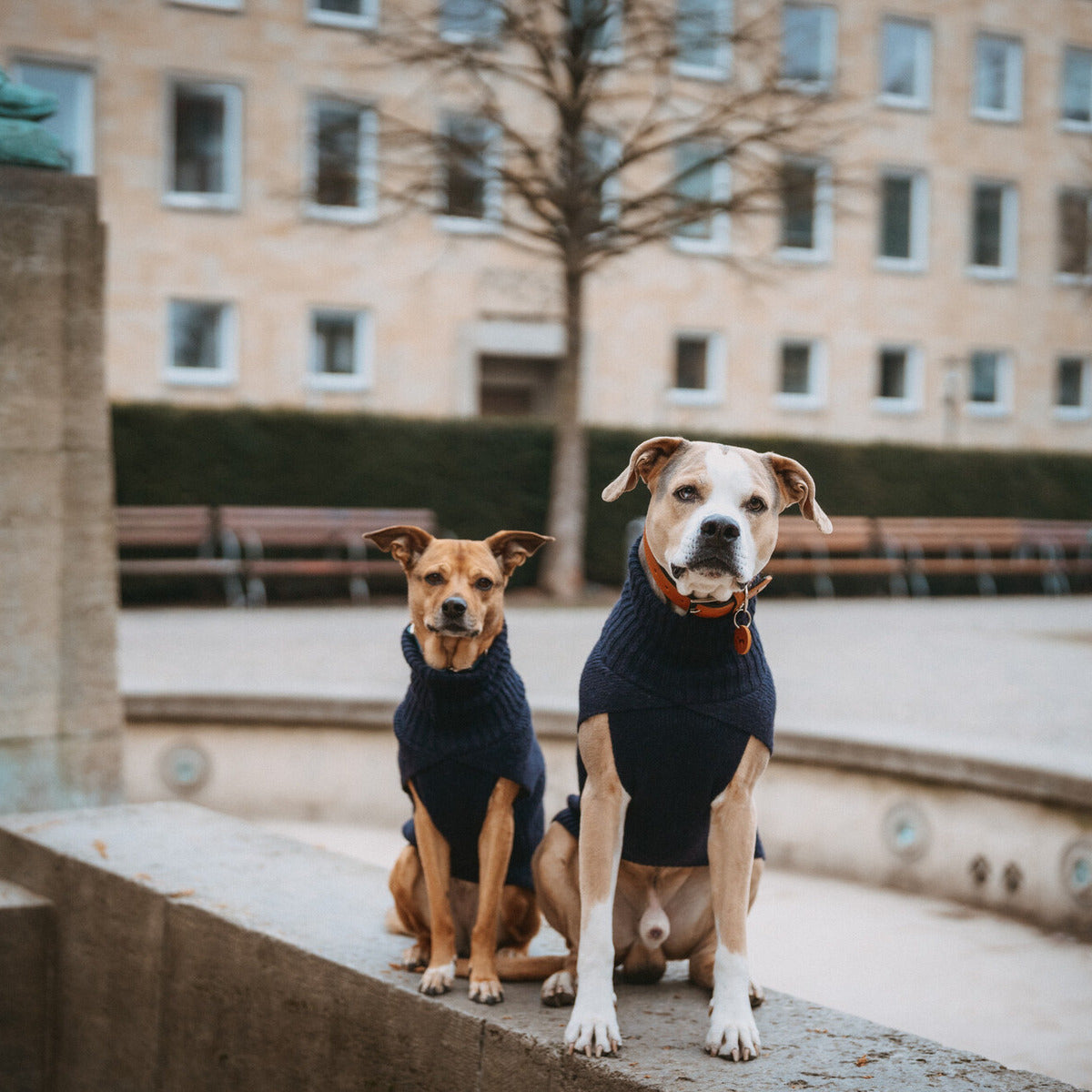 HUNTER Hundepullover Genf