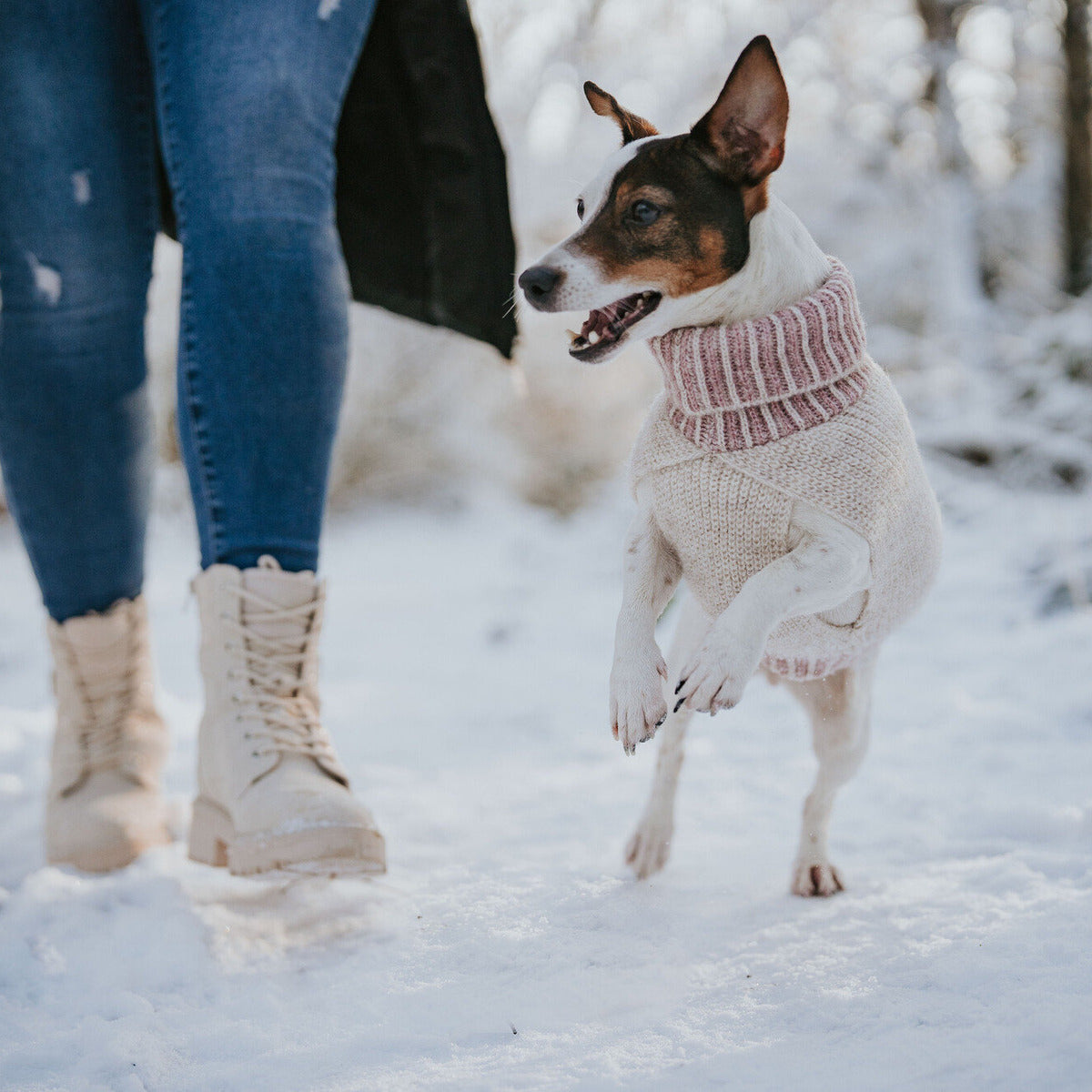 HUNTER Hundepullover Odense mit Mütze (Set)