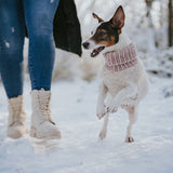 HUNTER Hundepullover Odense mit Mütze (Set)