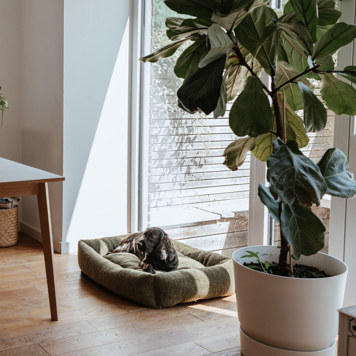 HUNTER Hundesofa Kumara khaki