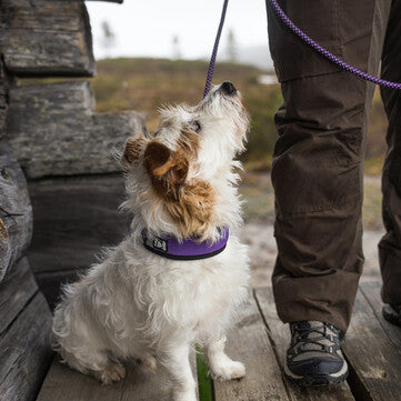 HURTTA Dazzle Rundleine, Outlet