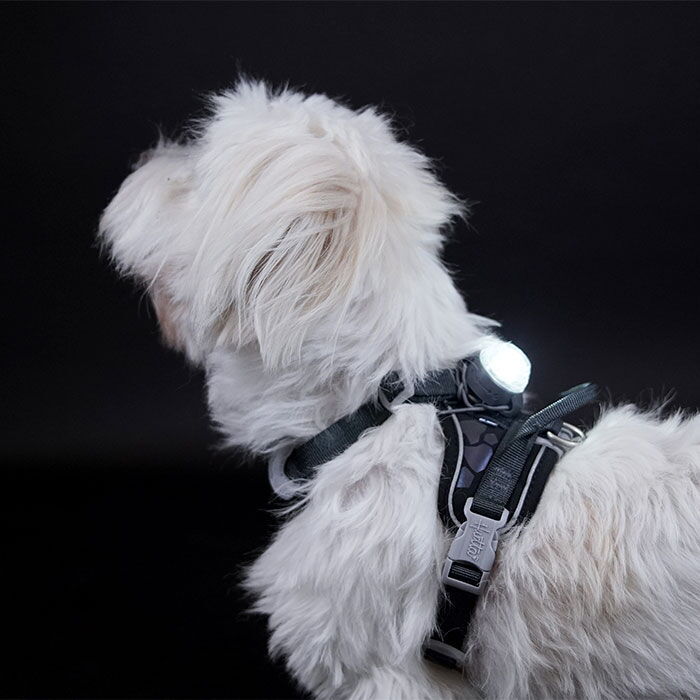 HURTTA Nordic Led Light