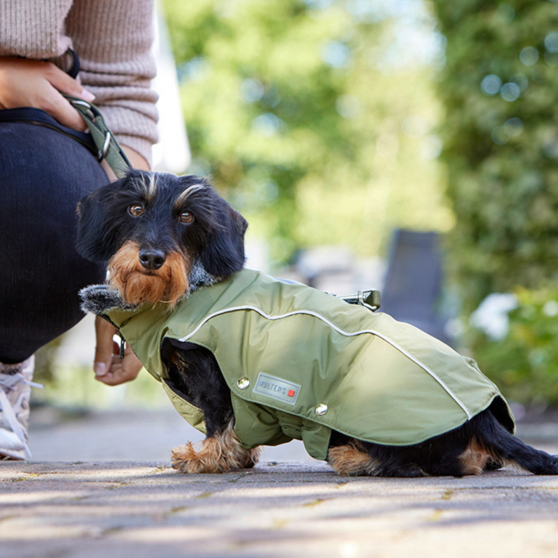 WOLTERS Winterjacke Amundsen für Dackel