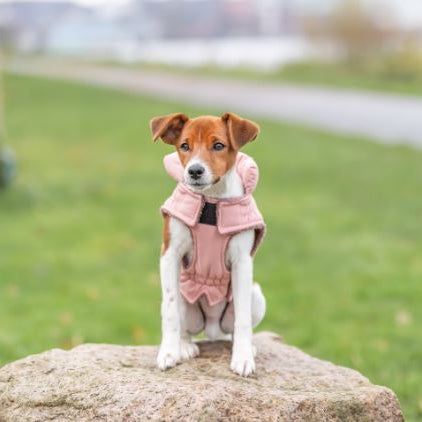 TRIXIE Wintermantel Lesmont