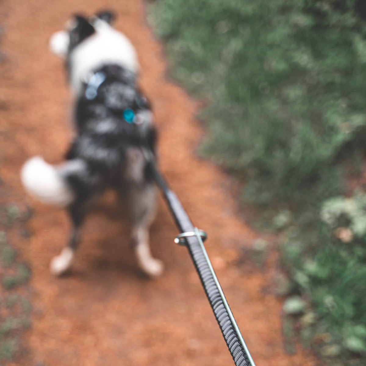 NON-STOP DOGWEAR Fahrrad-Führhalter Bike Antenna