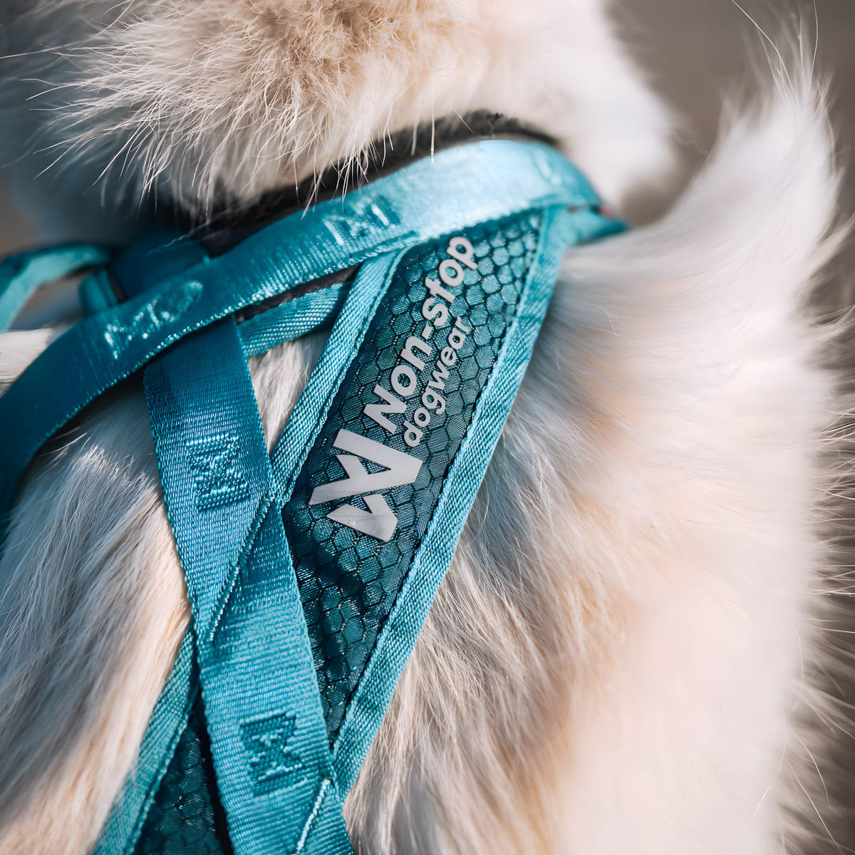 NON-STOP DOGWEAR Geschirr Rush Harness