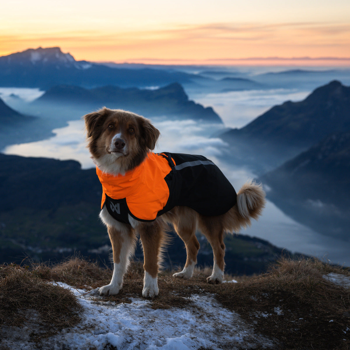 NON-STOP DOGWEAR Regenmantel Fjord raincoat 2.0