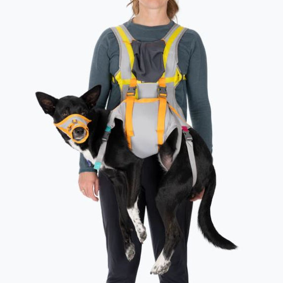 RUFFWEAR Notfallausrüstung BackTrak Dog Evacuation Kit Cloudburst