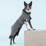 PAIKKA Hunde Regenmantel reflektierend "Visibility Raincoat"