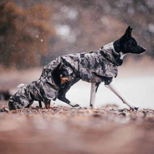 PAIKKA Hunde Regenmantel wärmend 