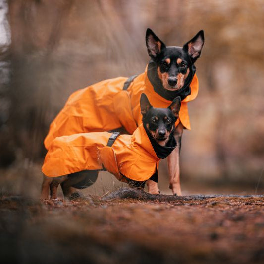 PAIKKA Hunde Regenmantel wärmend 