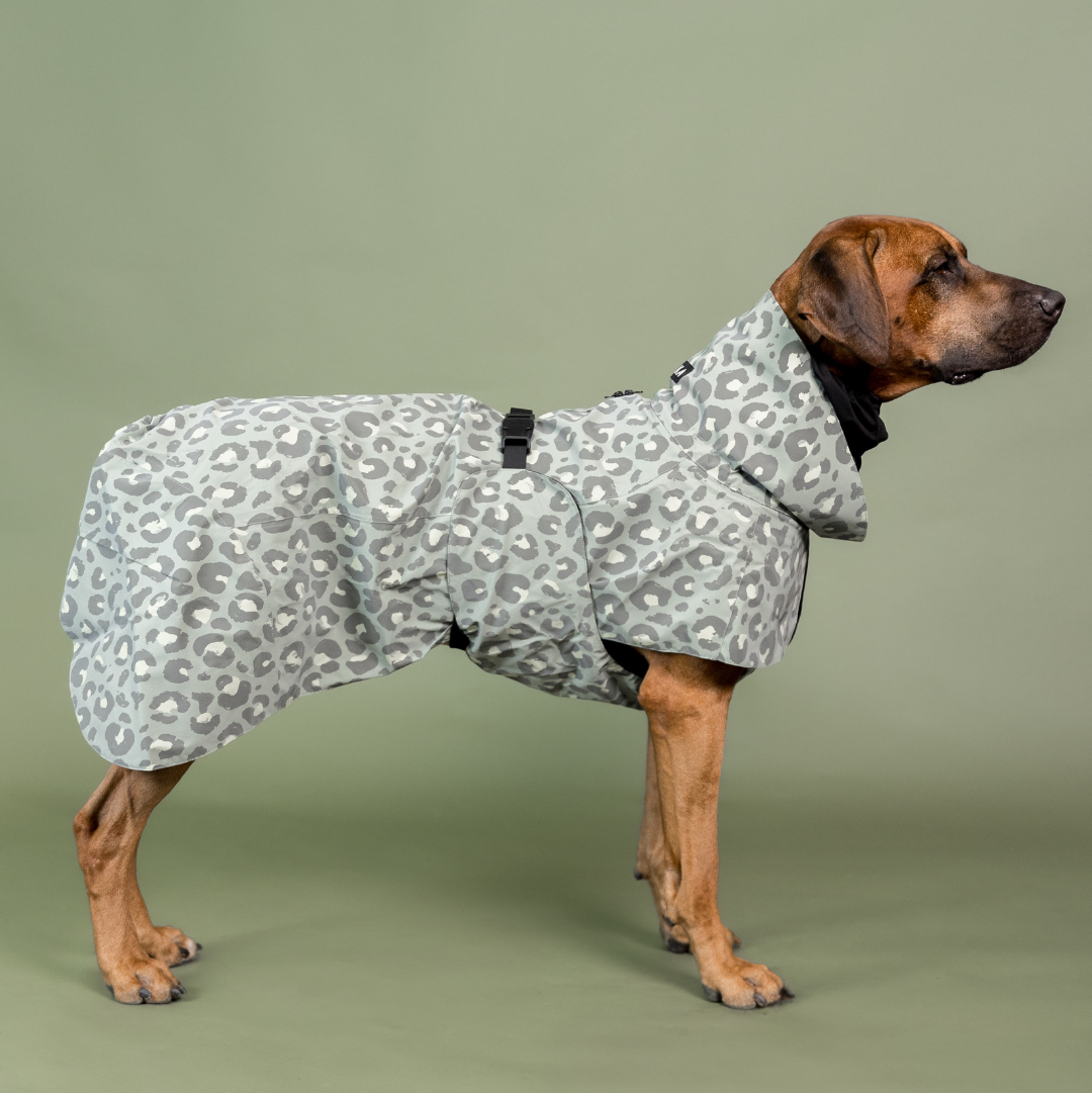 PAIKKA Hunde Regenmantel reflektierend 