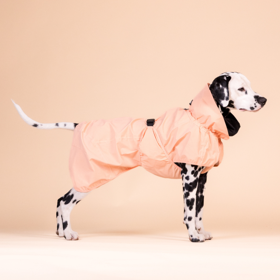 PAIKKA Hunde Regenmantel reflektierend 