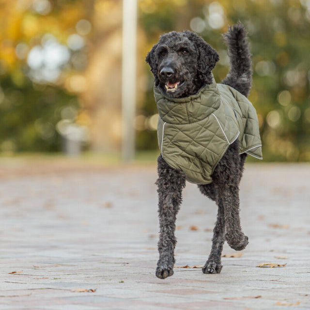 TRIXIE Hundemantel Minot