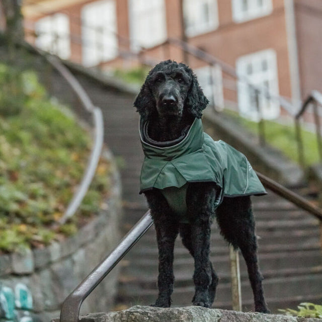 TRIXIE Wintermantel Explore Thermo